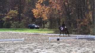 preview picture of video 'King Oak Farm, Schooling Show - Dressage - Oct 21, 2012'