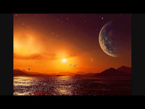 Ticon - Live - Boom Festival 2014