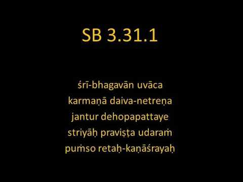SB 3.31.1