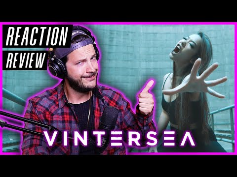 VINTERSEA "Befallen" - REACTION / REVIEW