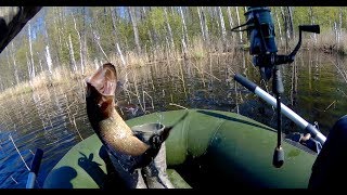 Kuusamo rasanen 70 10 блесна незацепляйка