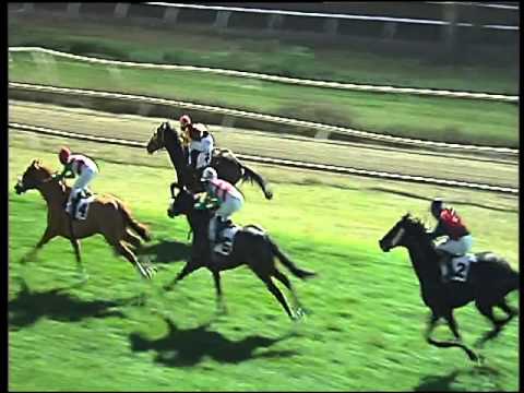 Galoppo 02/12/2015 - 6° corsa