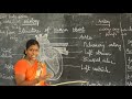 X SCIENCE STRUCTURE OF HUMAN HEART