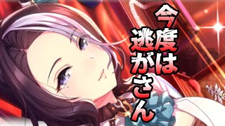 実は周年前に堪え切れずガチャを引いた者がいます【ウマ娘】