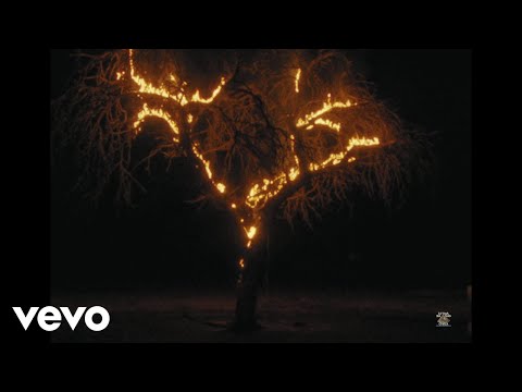 Milo J, Paula Prieto - MmmM (Visualizer)