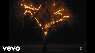 Milo J, Paula Prieto - MmmM (Visualizer)