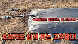 초보자도 쉽게 꽂는 고추밭 활대, 그리고 비닐에 구머멍뚫기!! 고추농사 잘 짓는 법!!