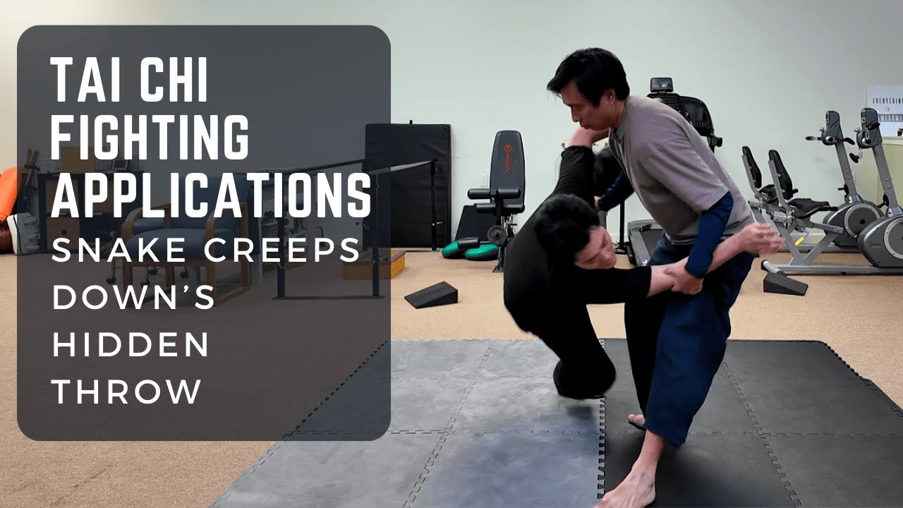 Tai Chi Fighting Application: Snake Creeps Down's Hidden Throw