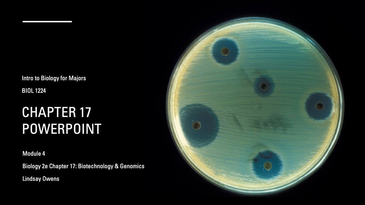 BIOL 1414 Chapter 17 PPT