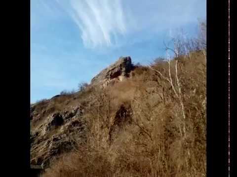 FOTOGRAFII ZONA SUNCUIUS VADU CRISULUI