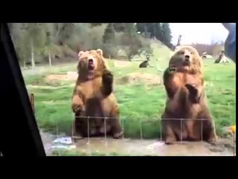 Kevin Leo en Jakkie Louw kom Australie en New Zealand to (Jakkals & Leo)