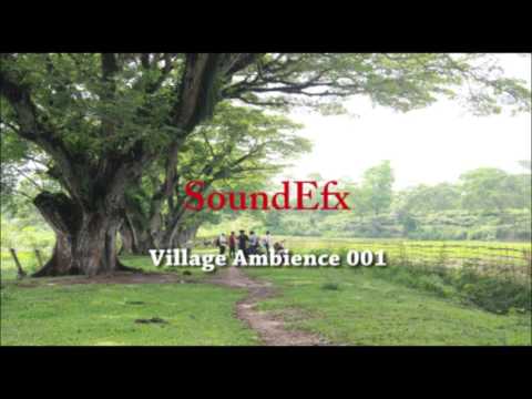 INDIAN Village Ambience 001| HD Sound Effects