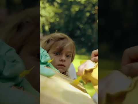 Bee power in the forest kindergarten 🐝🌳#shorts