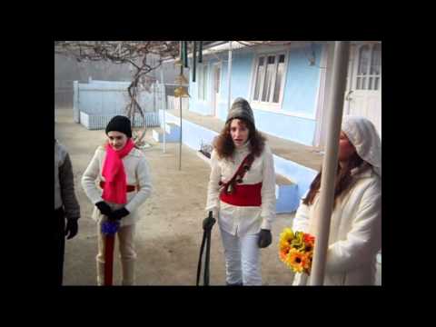 traditii ...2011...Avramesti