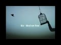 Sia - bird set free sub español 