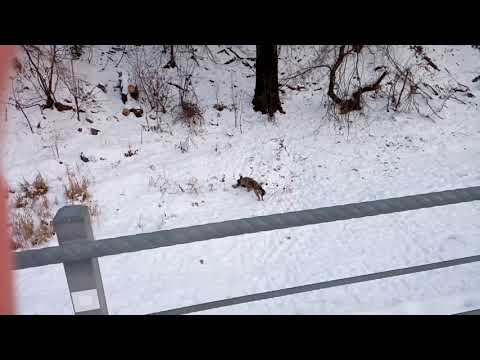 Blackview A80 Pro. Almaty Airport City Lake aka Malaya Almatinka