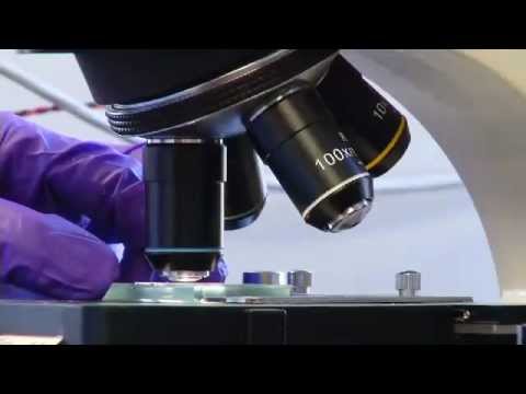 能源101｜生物燃料 (Energy 101 | Biofuels)