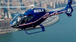 A Band Of Bees These Are The Ghosts