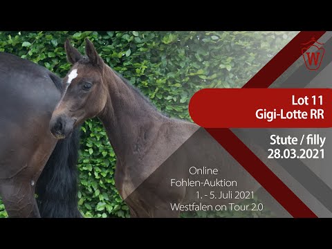 "Westfalen on Tour 2.0"-Auktion - Lot 11 Gigi-Lotte RR v. Grandorado TN - Colestus