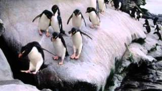 Jingle Bells-Sammy Davis Jr.