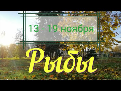 РЫБЫ ♓️с 13 по 19 ноября.