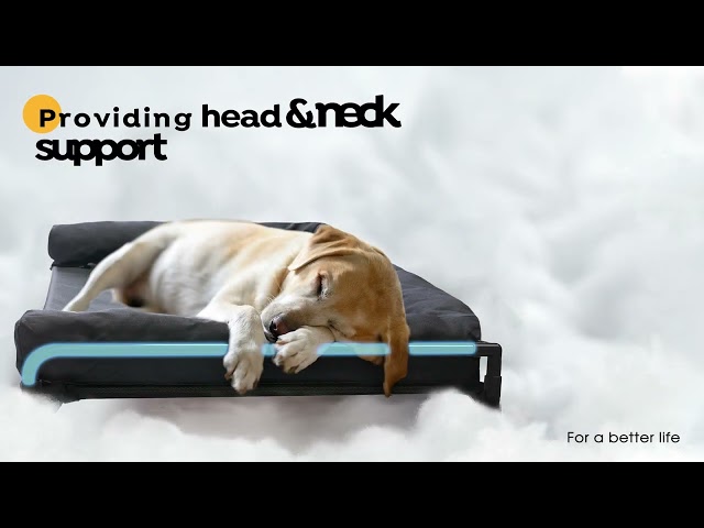 Veehoo Elevated Dog Bed with Three-sided Bolster