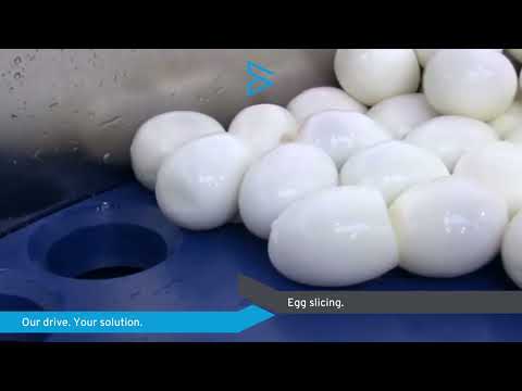 EGG SLICING WITH DISTRIBUTION SYSTEM