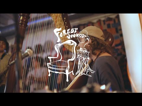 FOREST SOUNDS: Katara - Oklahoma feat. Seth Lynn Harp Solo [Live]