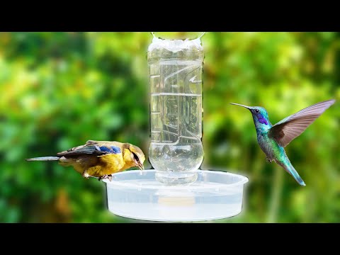 , title : 'Cara Membuat Tempat Makan Air Burung Otomatis Buatan Sendiri | buatan sendiri'