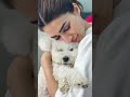 Kriti Sanon 4K Status Video Attitudestatus Shorts Short