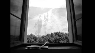 Walking Each Other Home