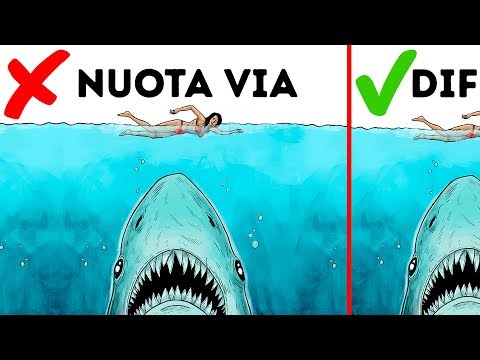 10 Semplici Modi Di Sopravvivere All'Attacco di Un Animale Selvatico