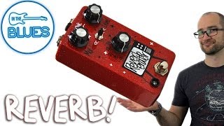 Video thumbnail for Dr Scientist Reverberator Pedal Demo by intheblues