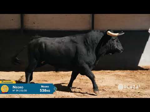 SORTEO | Toros de Passanha, corrida rejones
