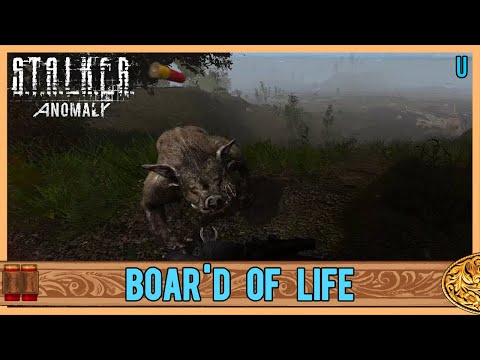 Stalker Anomaly: Blondie's Bugout Challenge, Ep51, Day 43