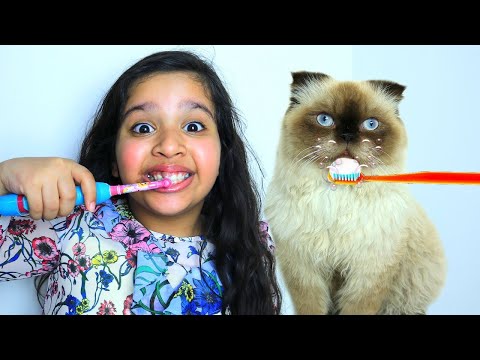 शफ़ा और उसके दिन का रूटीन बिल्ली के साथ।