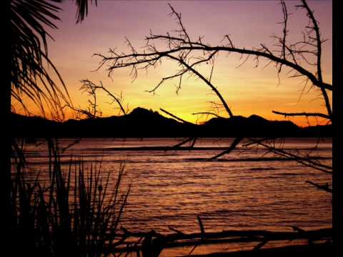 Reflekt vs The Roc Project - Needs To Feel Loved vs Never (Myon & Shane 54 Mash Up)