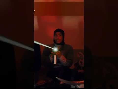 BTE DA3 x C4 Murdaa Bacc Doe