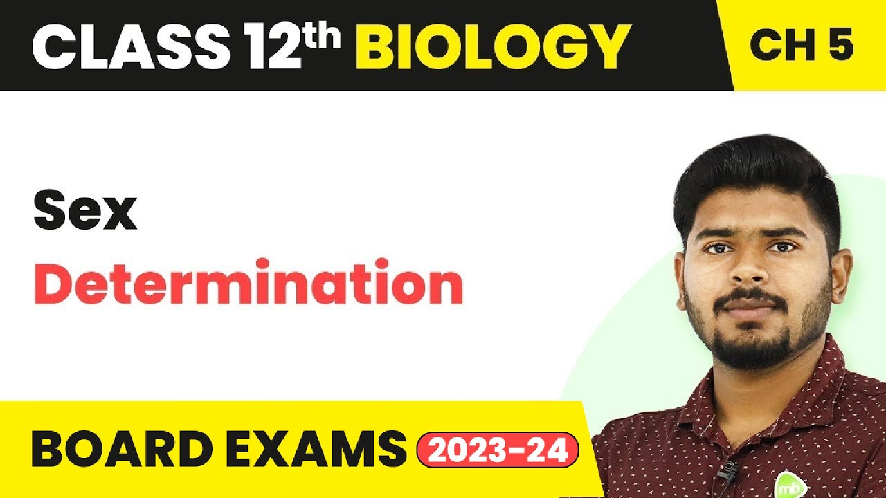 Sex Determination - Principles of Inheritance and Variation | Class 12 Biology (2022-23)