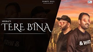 Tere Bina feat. Megraz New Punjabi Song 2019