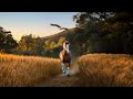 Inside The Super Bowl S Best Ads Heart Humor Big Brand Moments