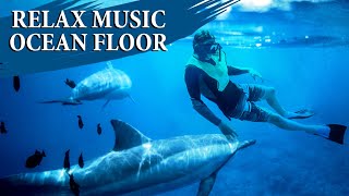 Relaxing Music The Ocean floor | Sleep Music, Emotional Music, Calming Music, #RelaxMusic2D