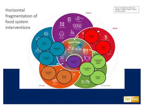 FIT4FOOD2030 Webinar 1: Responsible Research and Innovations in the food systems (full)