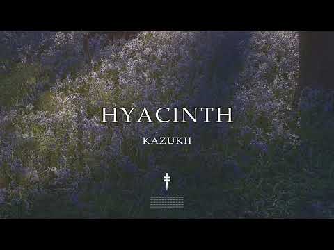 Kazukii - Hyacinth