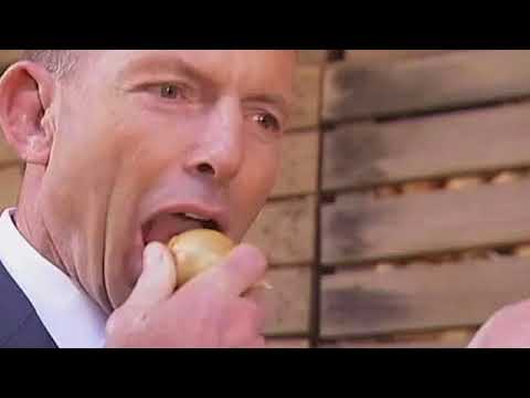 Giant Beastcast 169 - Vinny & Onions