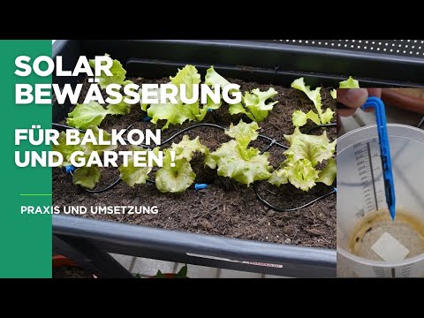 Irrigation system for balcony & garden – automatic & simple solution!