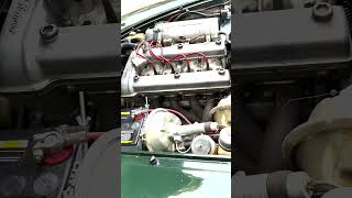 1969 Alfa Romeo 1750 Spider Veloce Cold Start