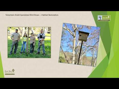 Volunteer | East Bay Regional Park District