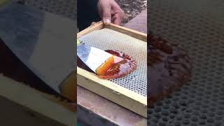 Download lagu ISTIMEWA BANGET MADU MURNI LANGSUNG DARI SARANG LEBAH mp3 Download lagu ISTIMEWA BANGET MADU MURNI LANGSUNG DARI SARANG LEBAH mp3