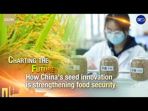 How China's seed innovation is strengthening food security
